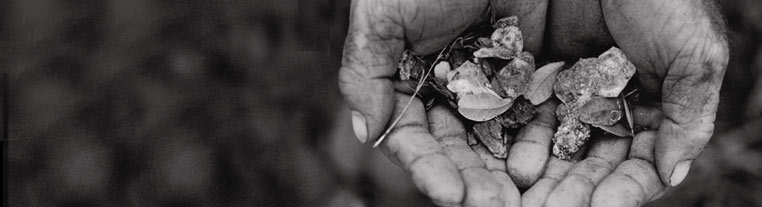 Masticha_ruky_hands, masticha_skusenosti