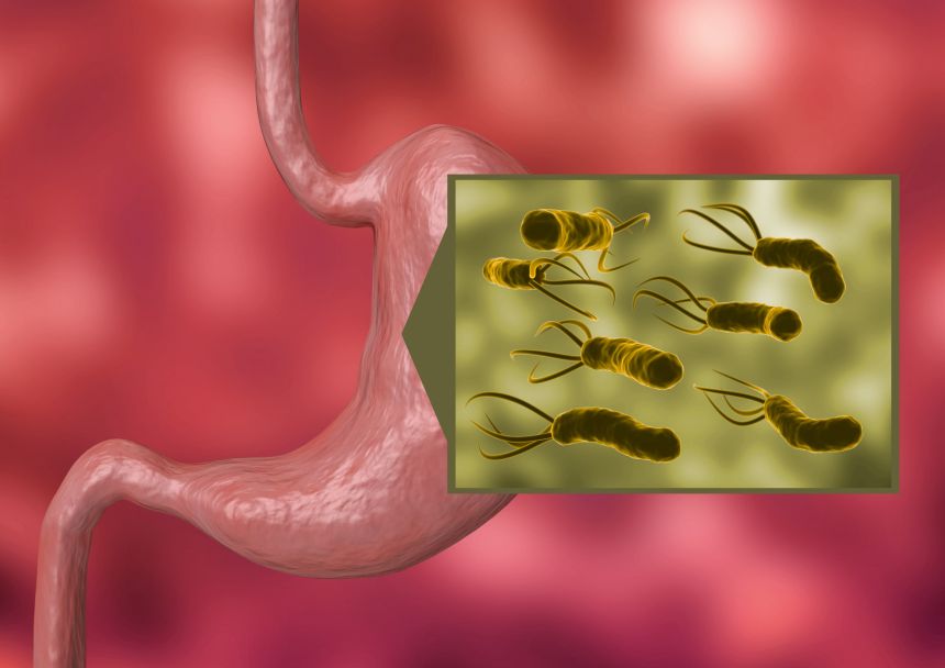 Ilustrace bakterie helicobacter pylori, detailní záběr, přírodní antibiotikum masticha