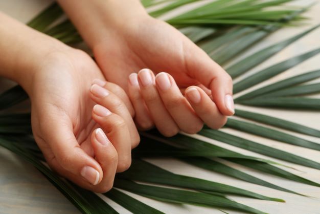Ruce se záběrem na nehty jsou položeny na zelených listech palmy.