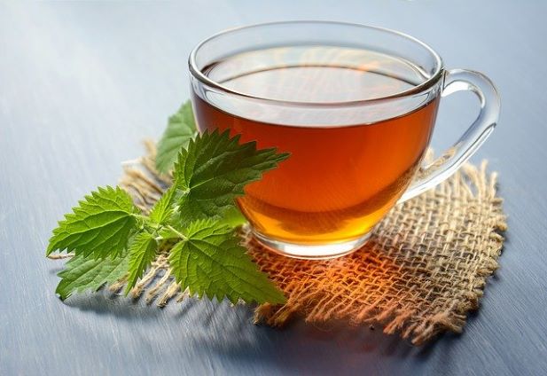 kopřivový čaj pro podporu zdraví