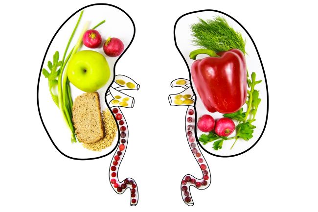 Ilustrace ledvin, vhodná strava při poruchách ledvin, bez soli a sodíku, čerstvé ovoce a zelenina.